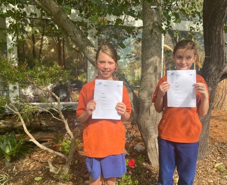 DA - Gallery - Gallery Block Template