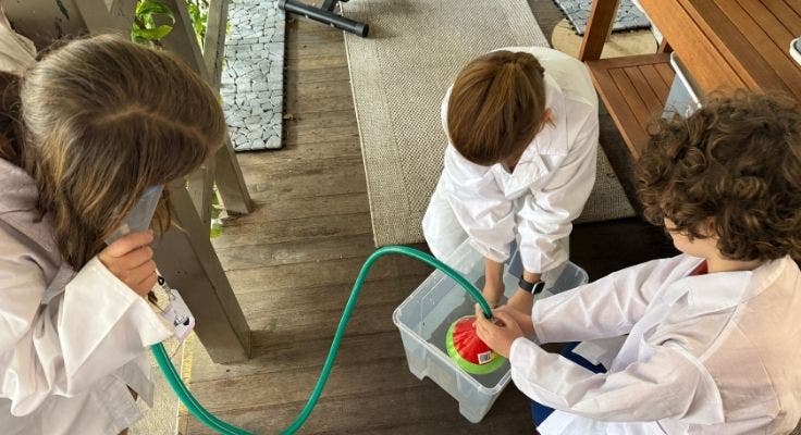 DA - Card Container - Vertical - Card Container (V) Template